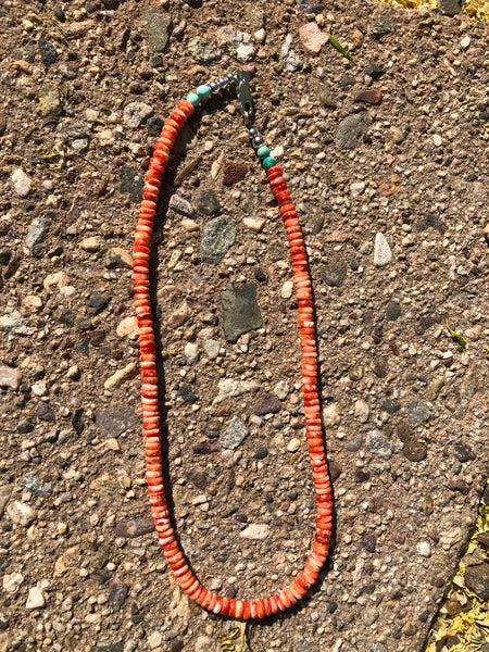 Spiney Oyster, grade AA, necklace, 18” long, with genuine turquoise and sterling  silver. A.S.  SO1 FREE SHIPPING IN THE CONTINENTAL USA.