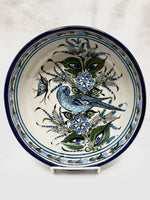 Blue rim Salas bowl with parrot