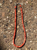 Spiney Oyster Shell, grade AA Shell, 18”, with sterling silver ends and hook and latch clasp. A.S.   SO2